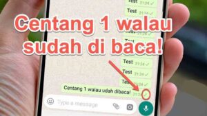 Cara Membuat Centang 1 di WhatsApp Biasa Walaupun Sudah Dibaca